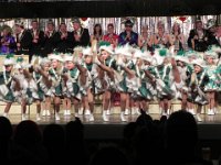 Garderabatz 2011  (115) : Garderabatz 2011